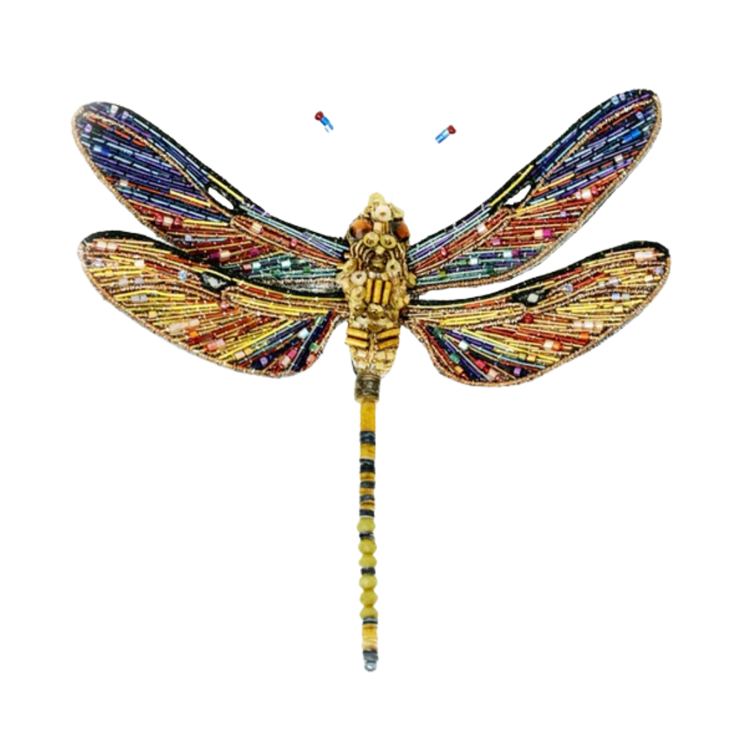 Brown Hawker Dragonfly Brooch