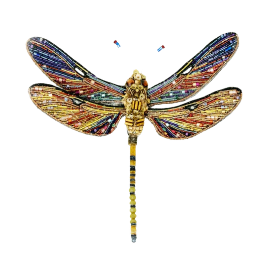 Brown Hawker Dragonfly Brooch