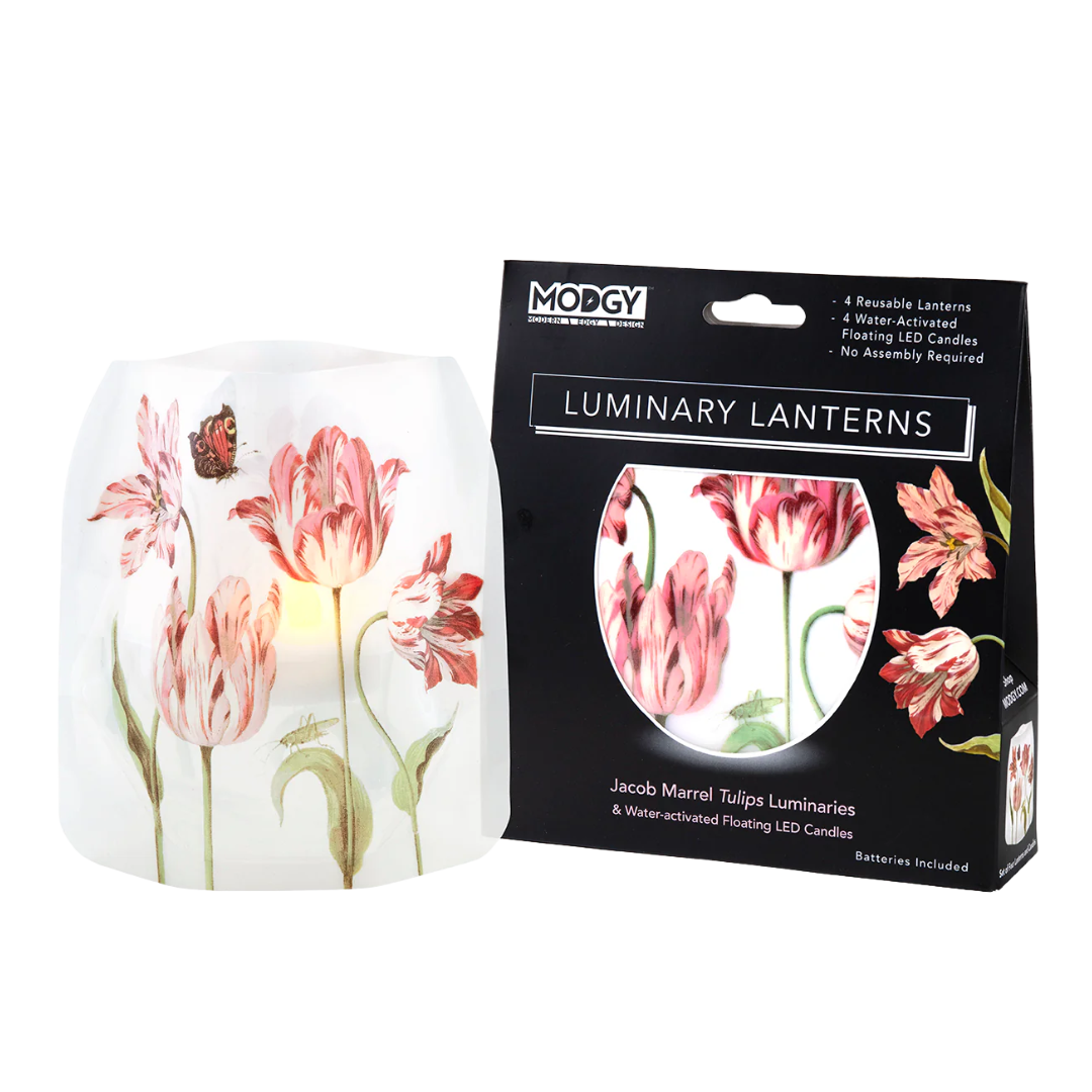 Jacob Marrell Tulips Luminaries