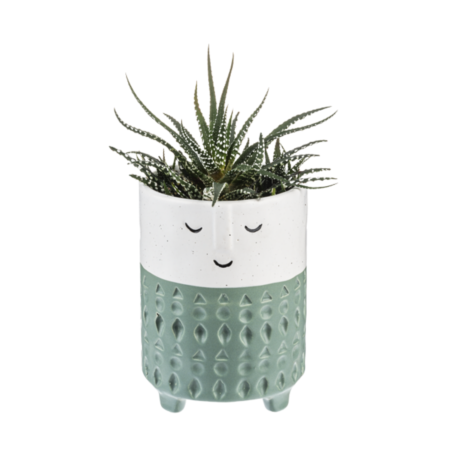 Tall Face Planter with Green Stripe