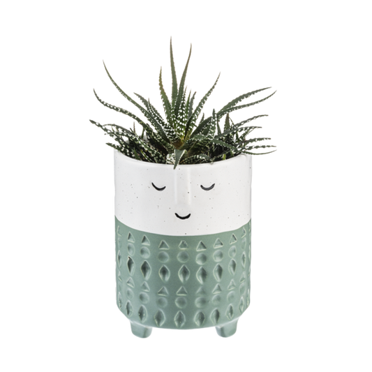 Tall Face Planter with Green Stripe