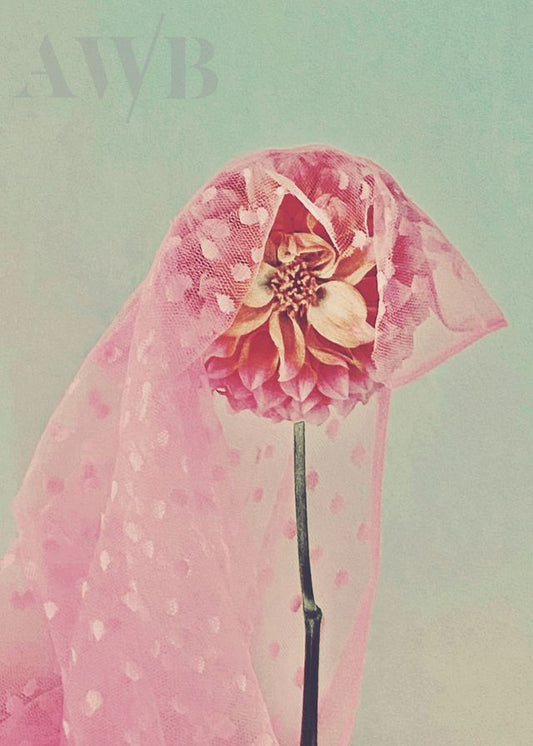 Veiled