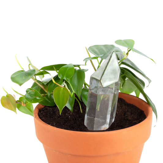 Plant Watering Crystal