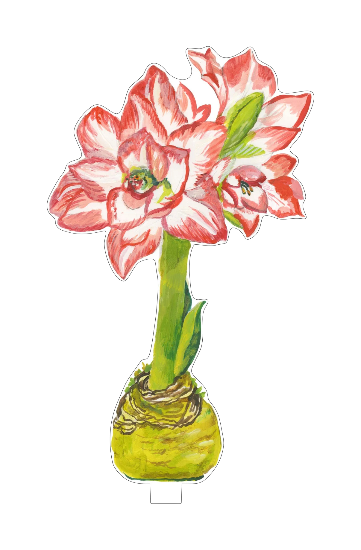 Amaryllis Acrylic Holiday Decor