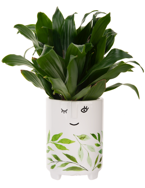 Tall Face Planter with Leaf Pattern