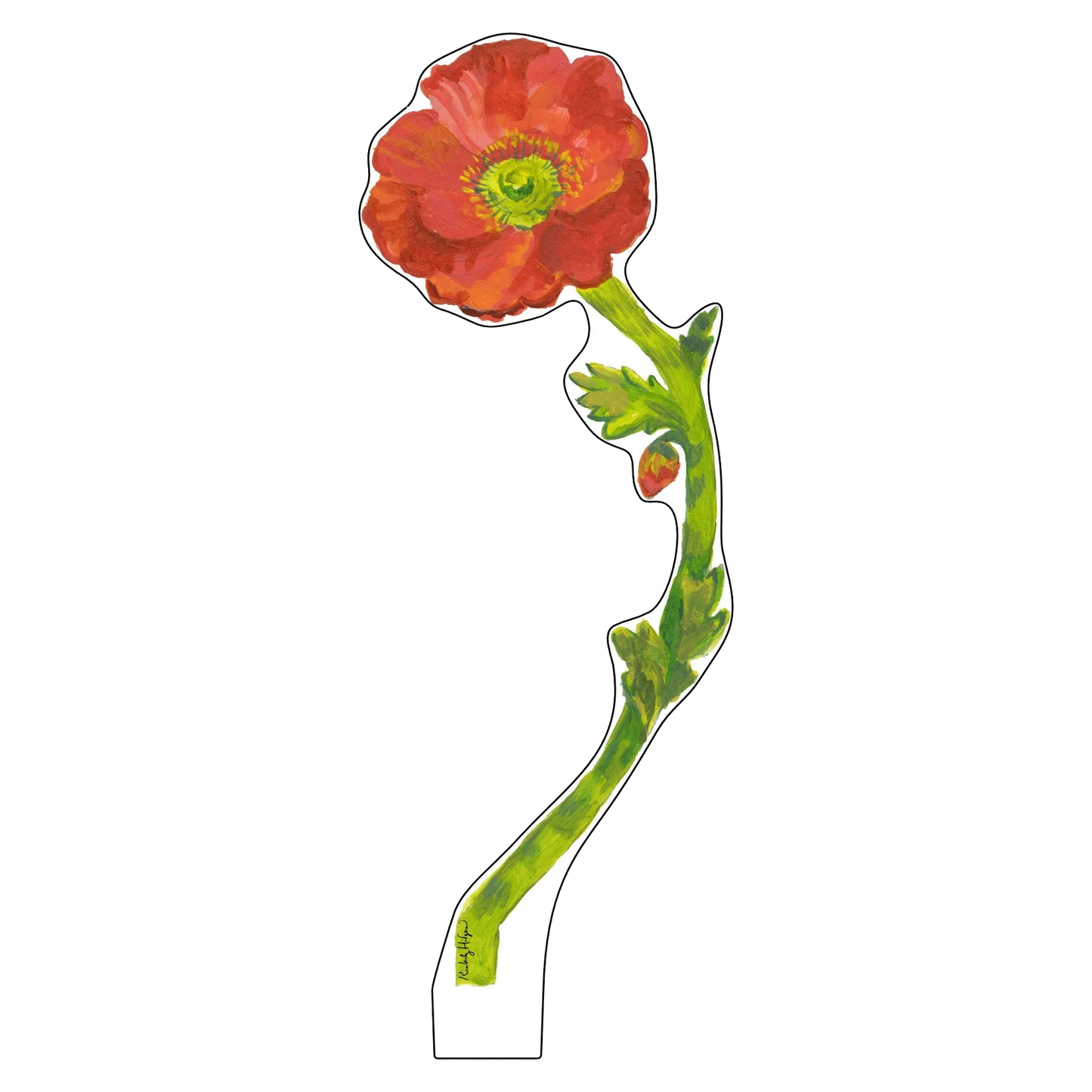 Icelandic Poppy Acrylic Stem