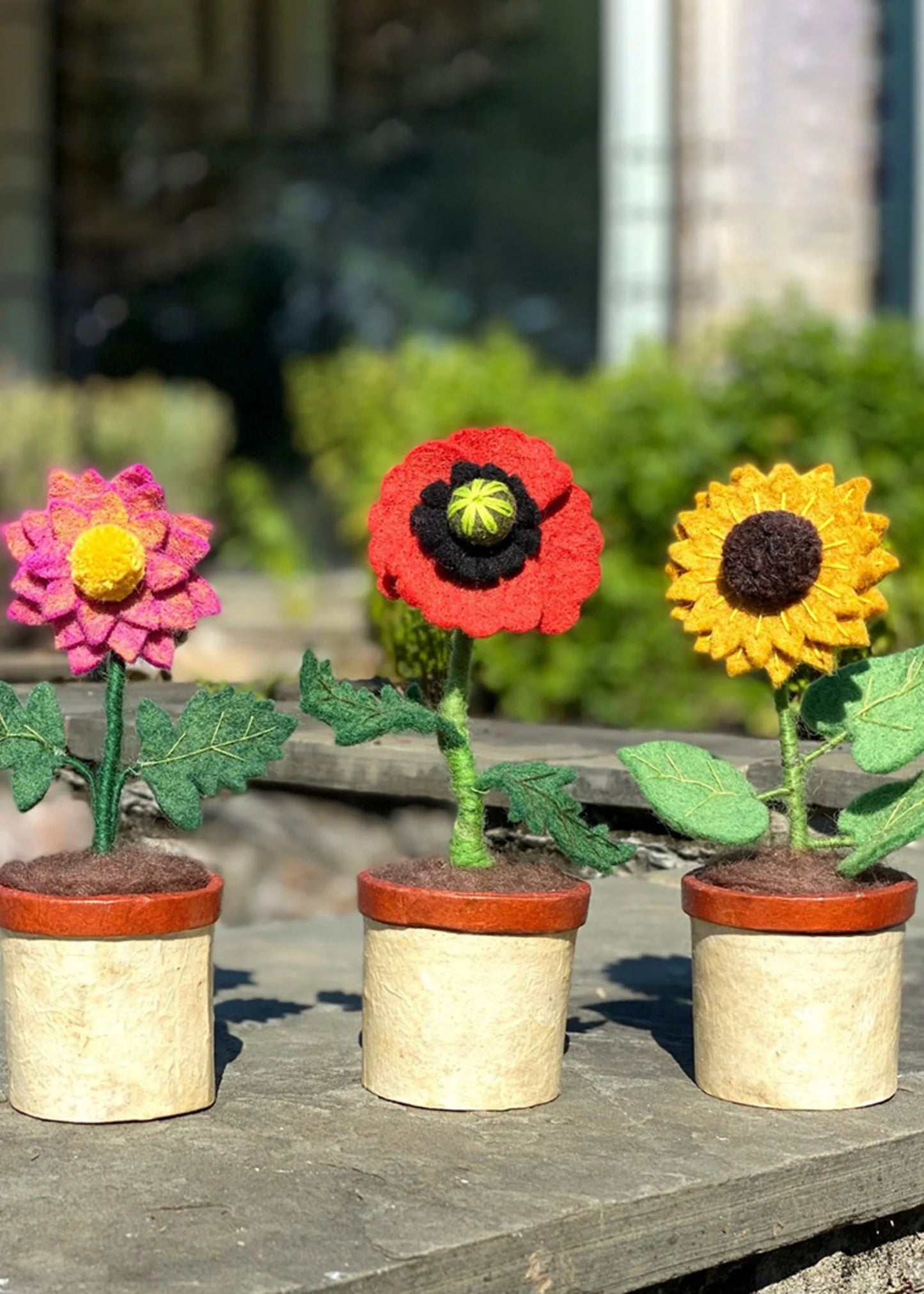 Potted Felt Dahlia