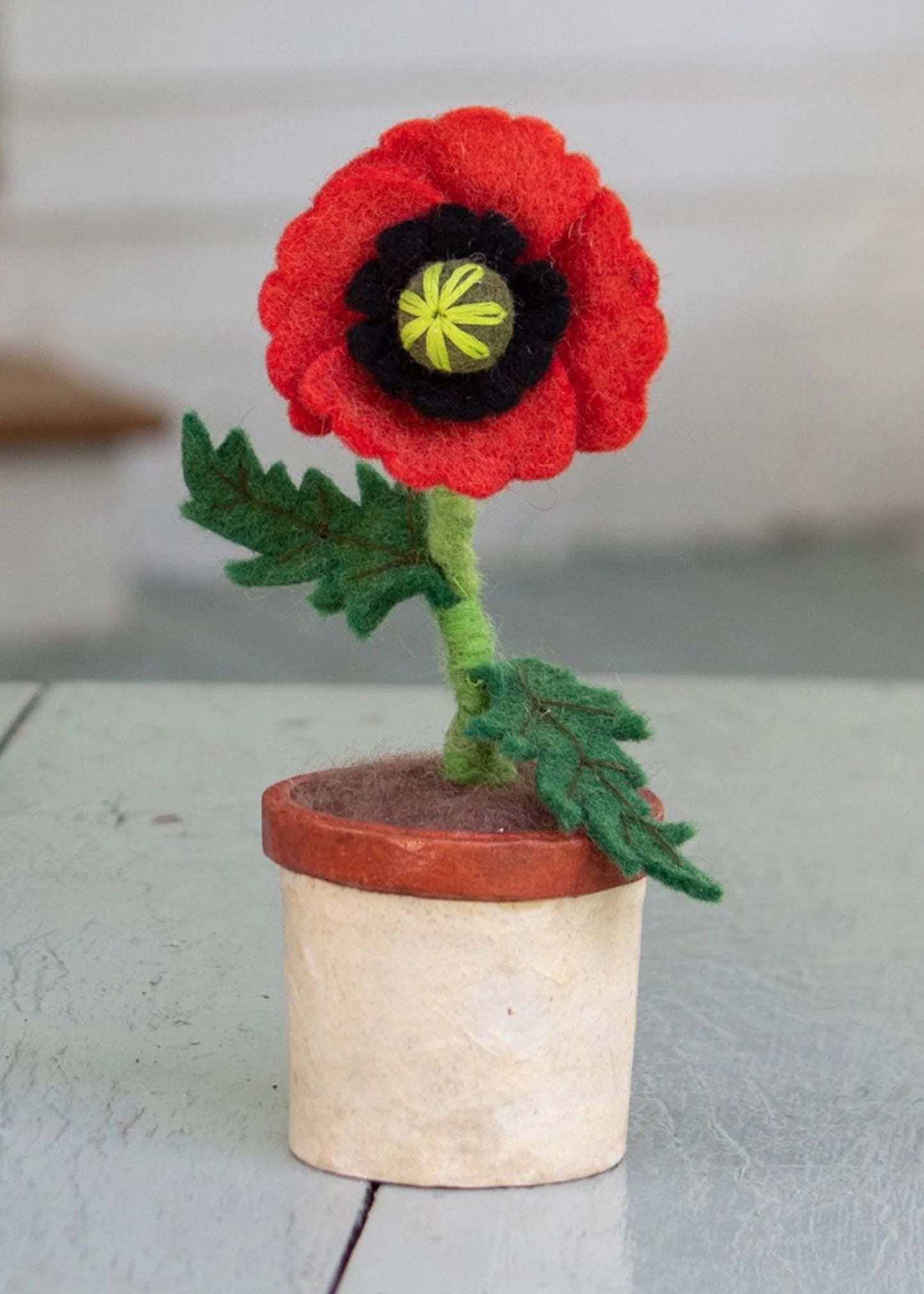 Potted Felt Poppy