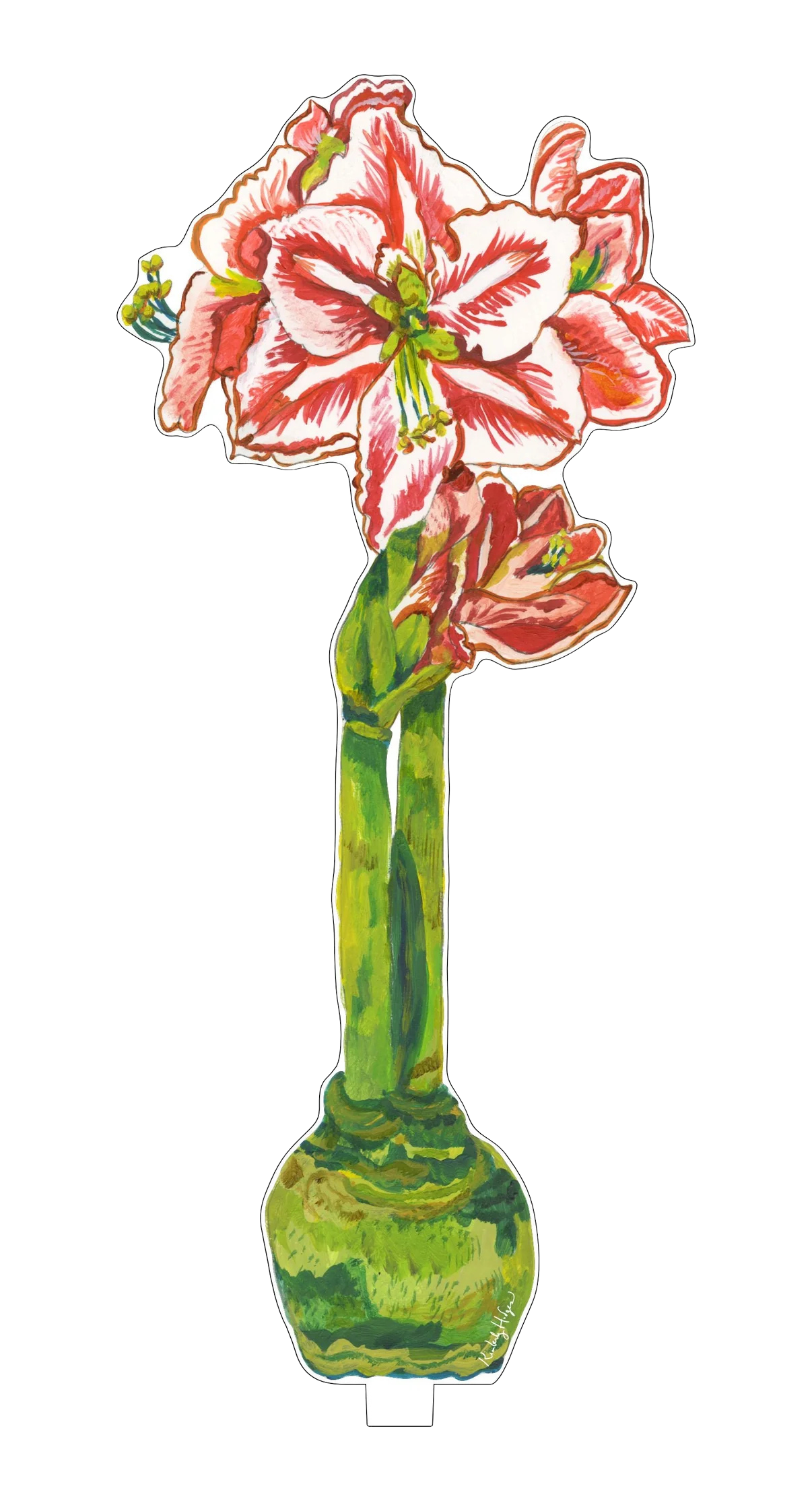 Amaryllis Acrylic Holiday Decor