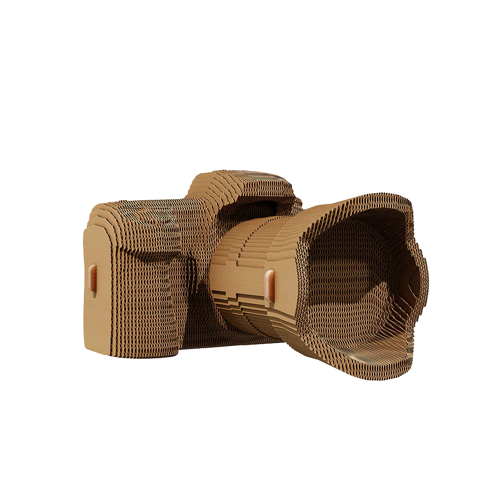 3D Camera Puzzle