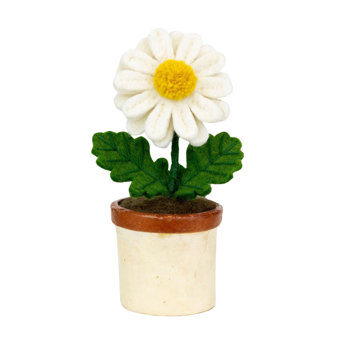 Potted Felt Daisy