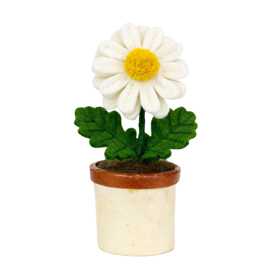 Potted Felt Daisy