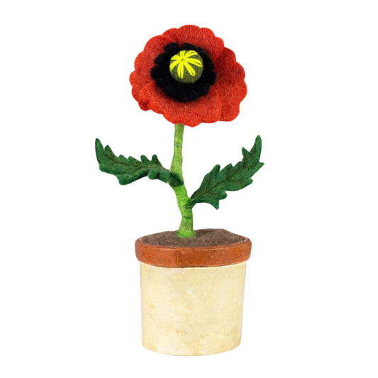 Potted Felt Poppy