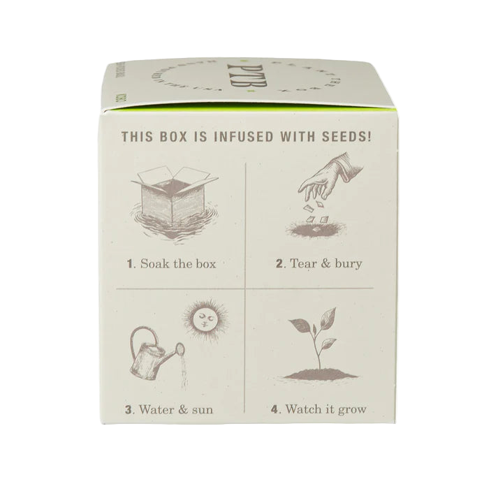 Plant the Box Soy Candle - Fresh Picked Basil