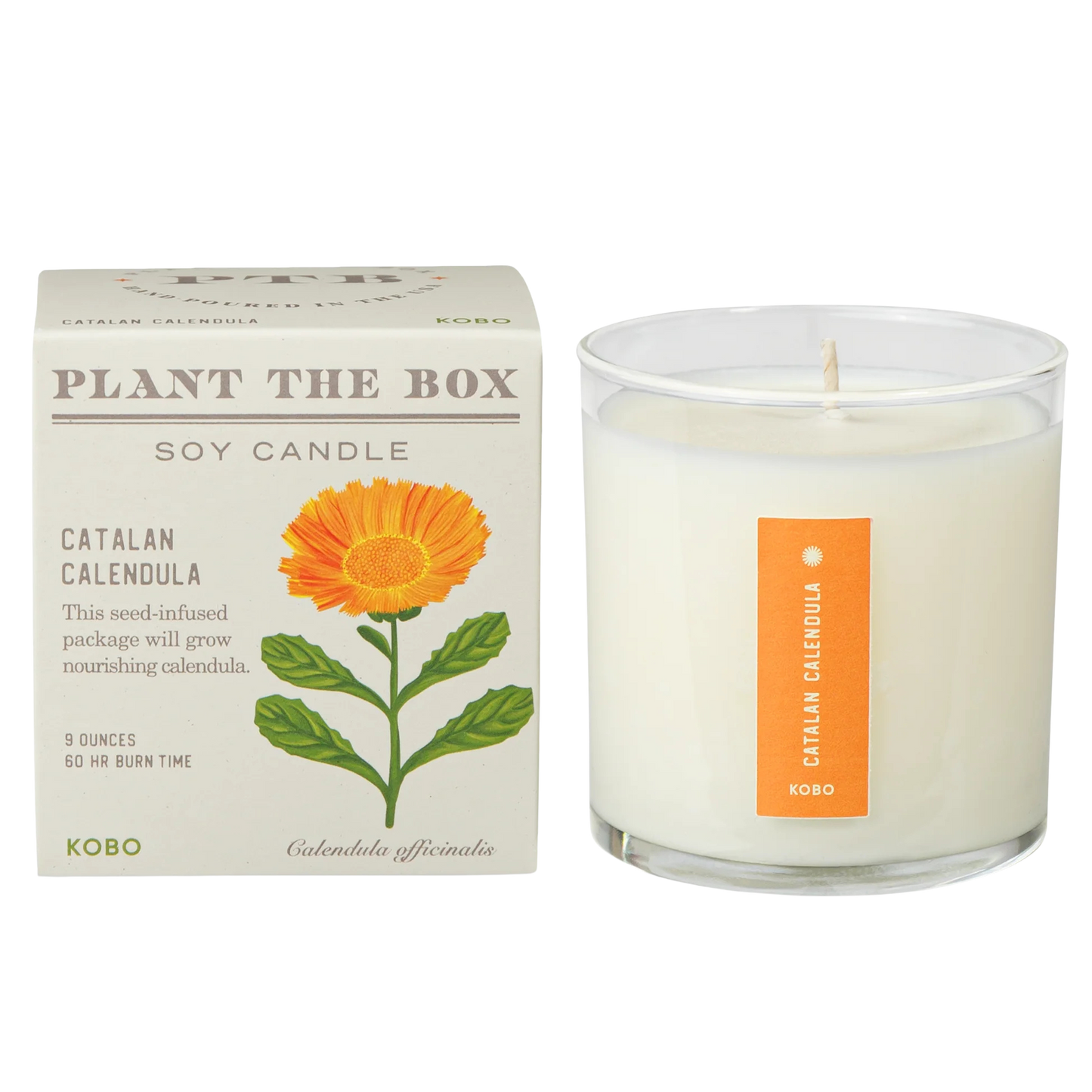 Plant the Box Soy Candle - Catalan Calendula