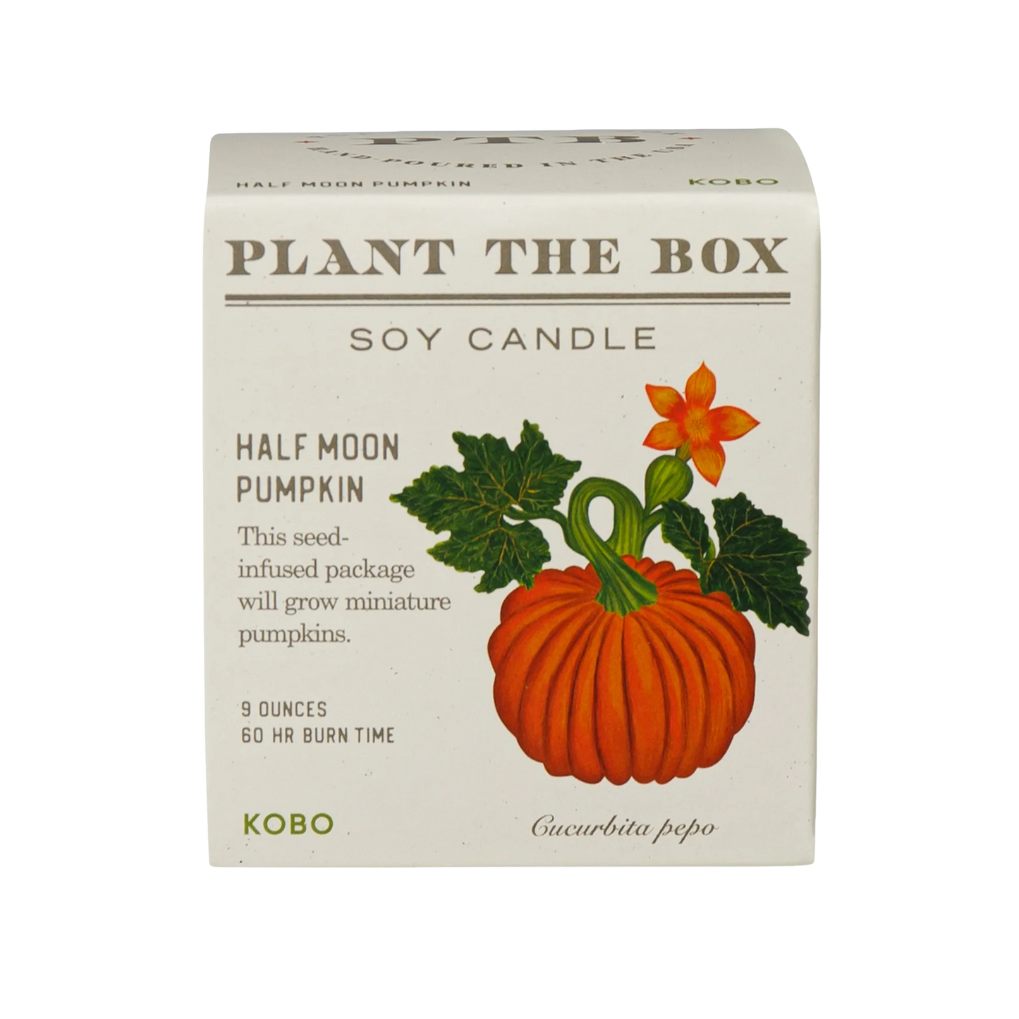 Plant the Box Soy Candle - Half Moon Pumpkin