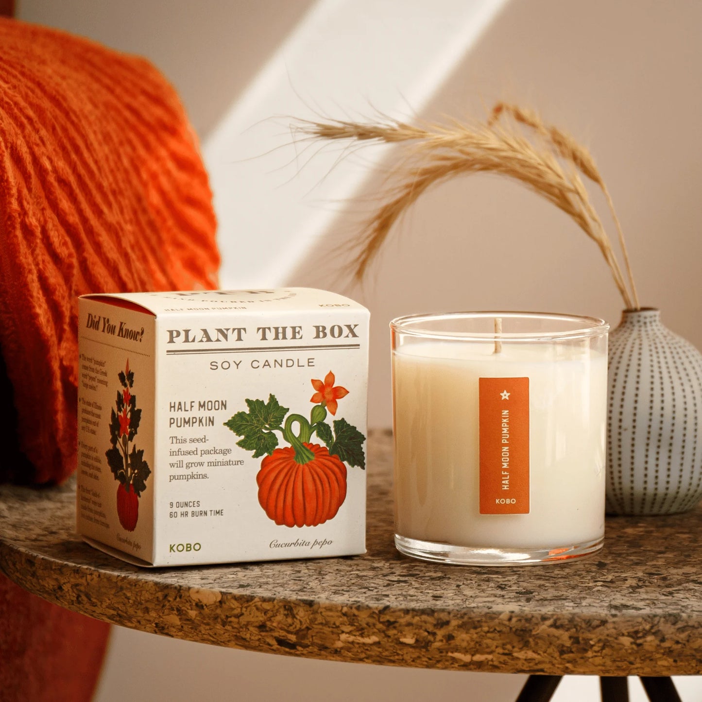 Plant the Box Soy Candle - Half Moon Pumpkin