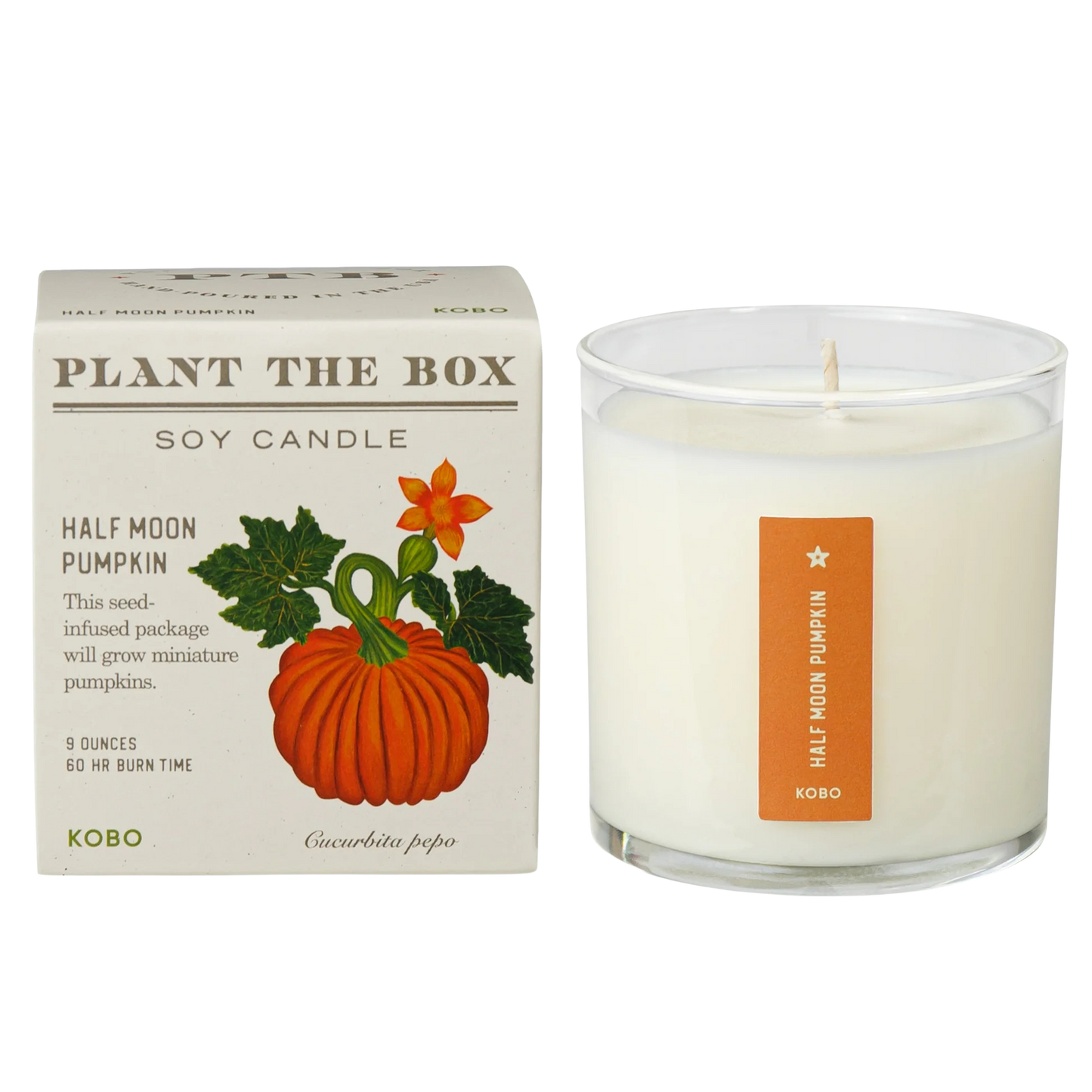 Plant the Box Soy Candle - Half Moon Pumpkin