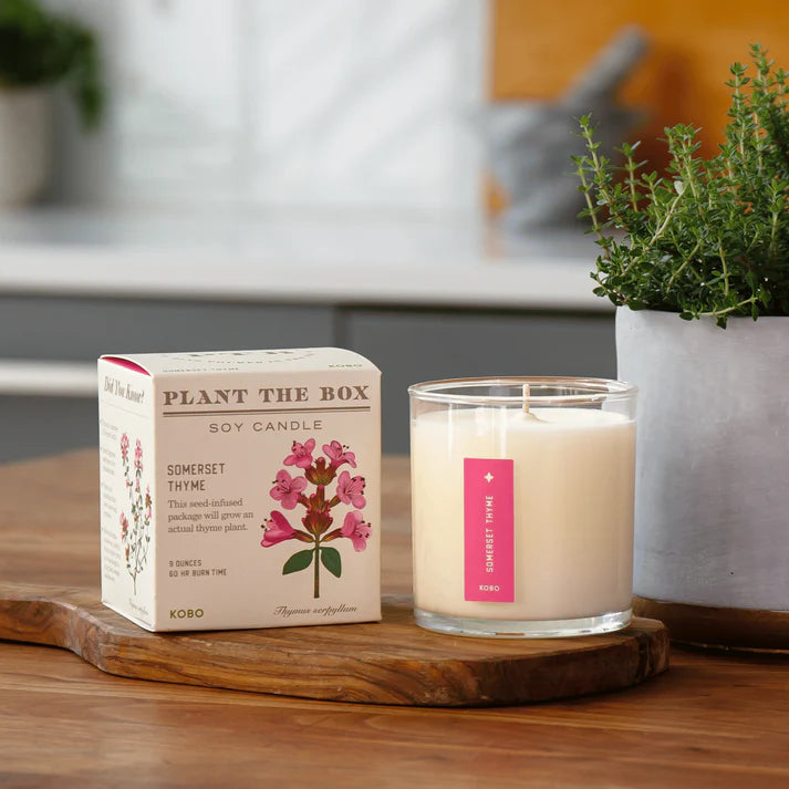 Plant the Box Soy Candle - Somerset Thyme