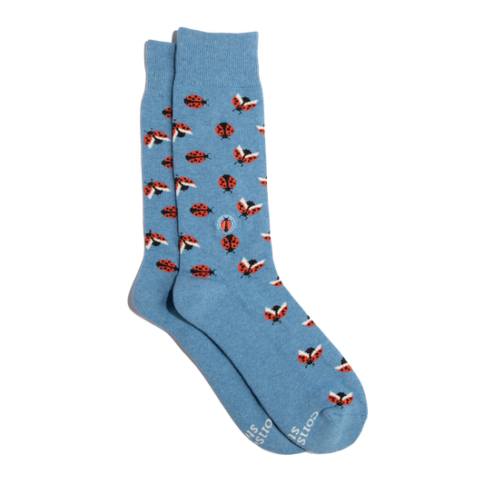 Socks that Protect Pollinators - Ladybugs