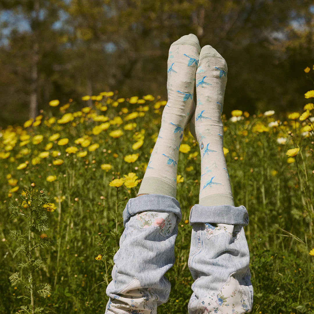 Socks that Protect Pollinators - Hummingbirds