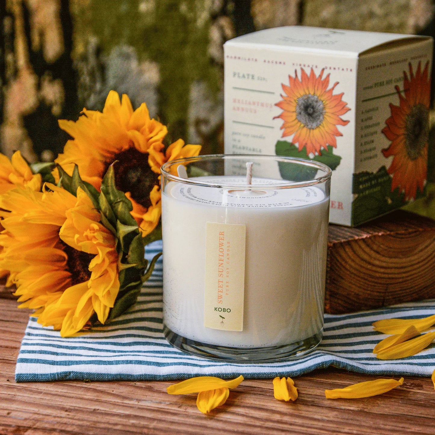 Plant the Box Soy Candle - Sweet Sunflower