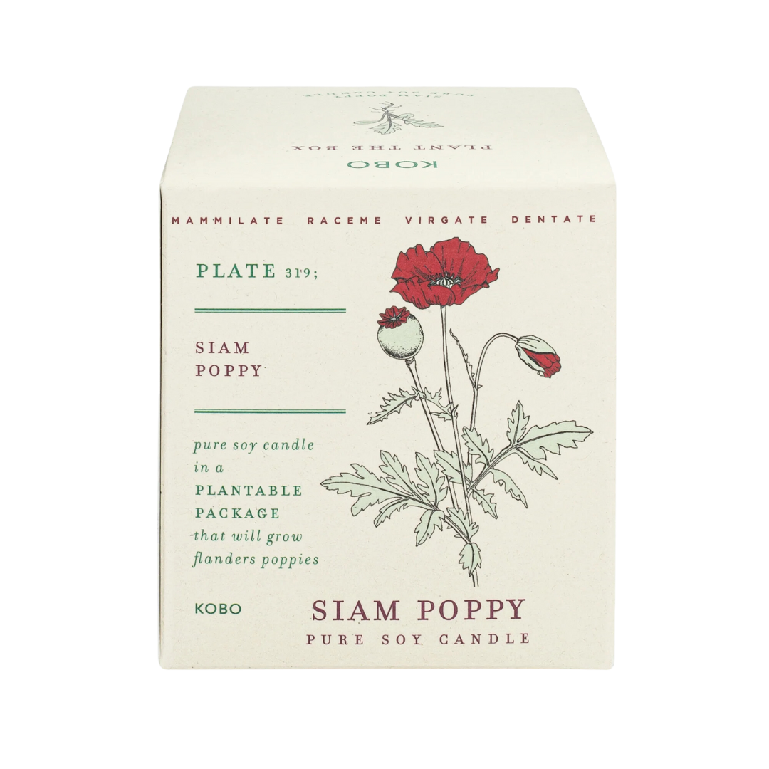 Plant the Box Soy Candle - Siam Poppy