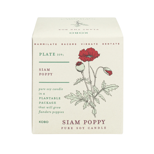 Plant the Box Soy Candle - Siam Poppy