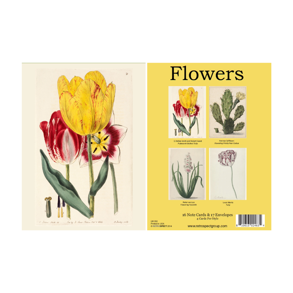 Flowers Boxed Cards