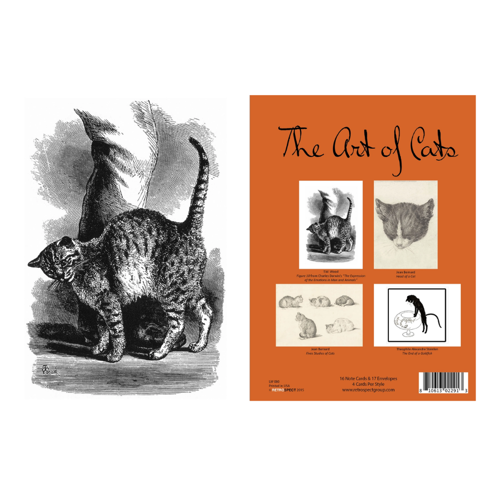 The Art of Cats Boxed Cards