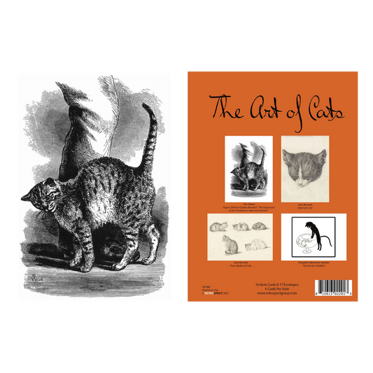 The Art of Cats Boxed Cards