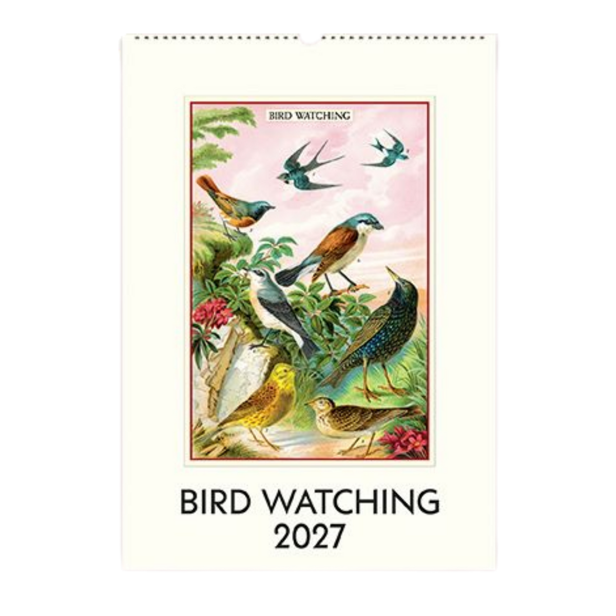 Birdwatching 2027 Wall Calendar