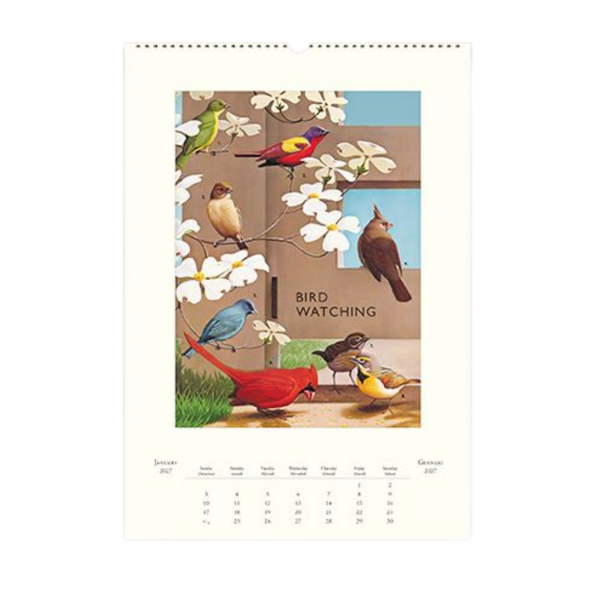 Birdwatching 2027 Wall Calendar