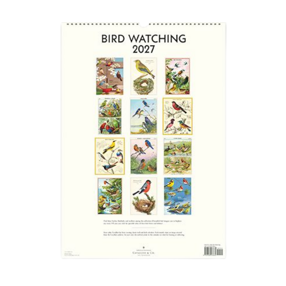 Birdwatching 2027 Wall Calendar
