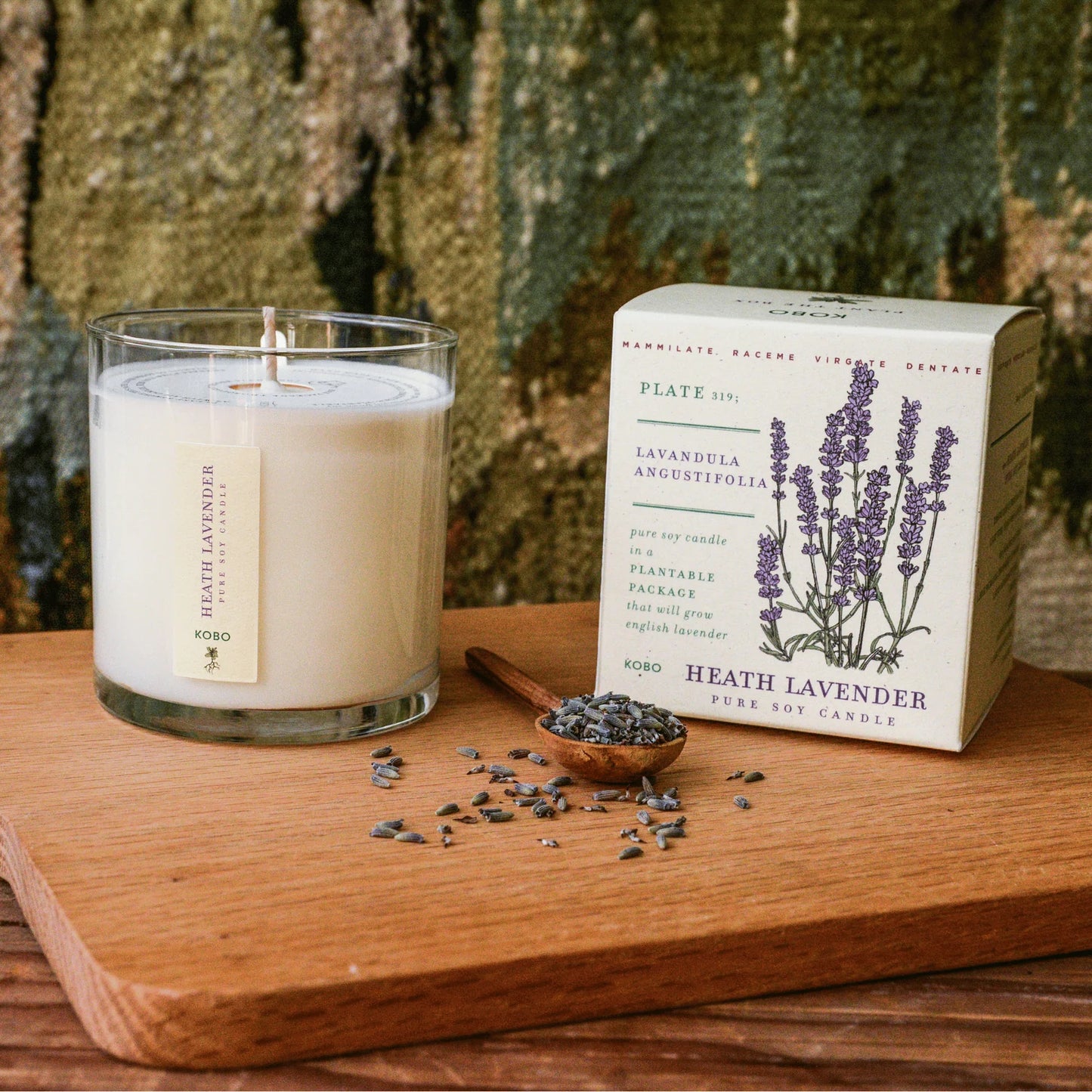 Plant the Box Soy Candle - Heath Lavender