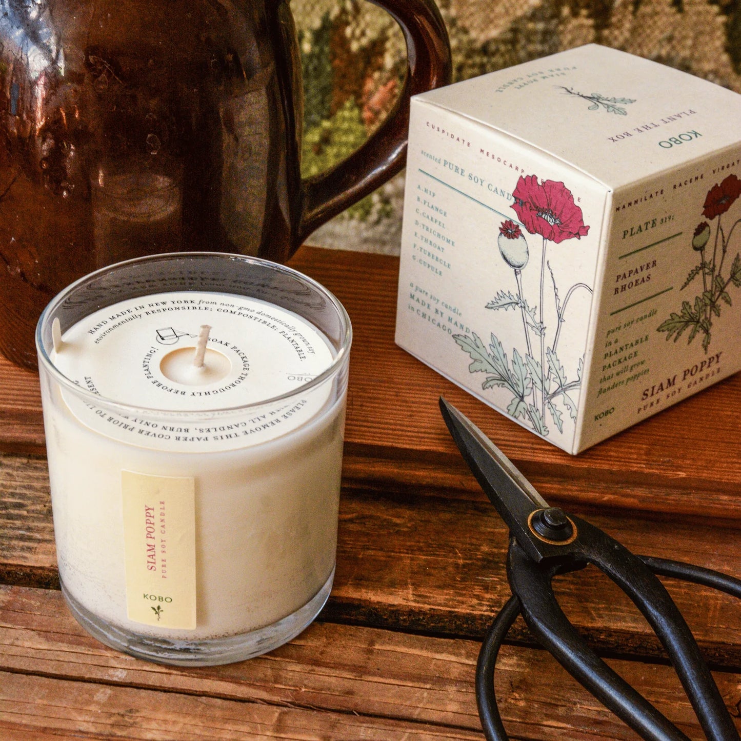 Plant the Box Soy Candle - Siam Poppy