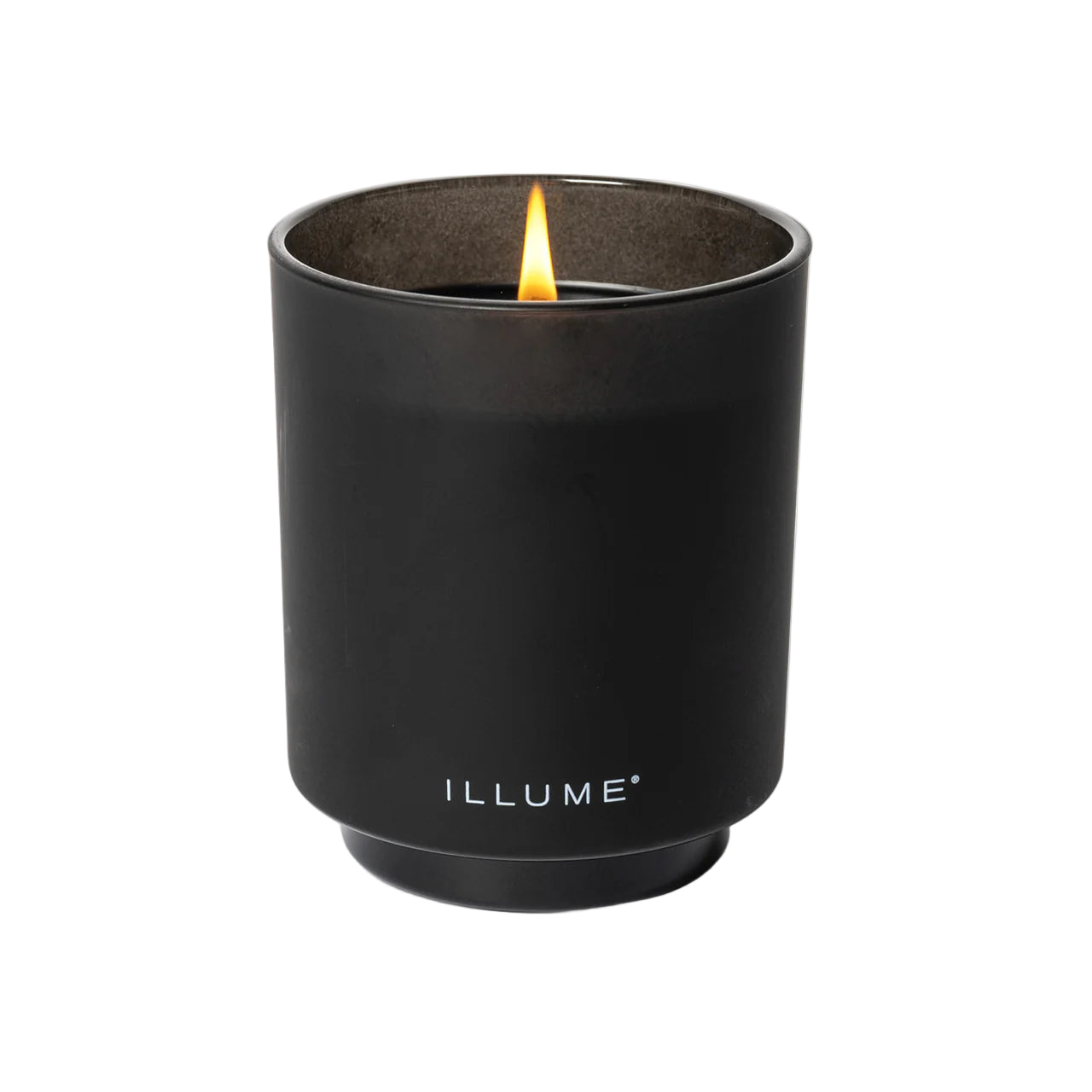 Blackberry Absinthe Boxed Glass Candle