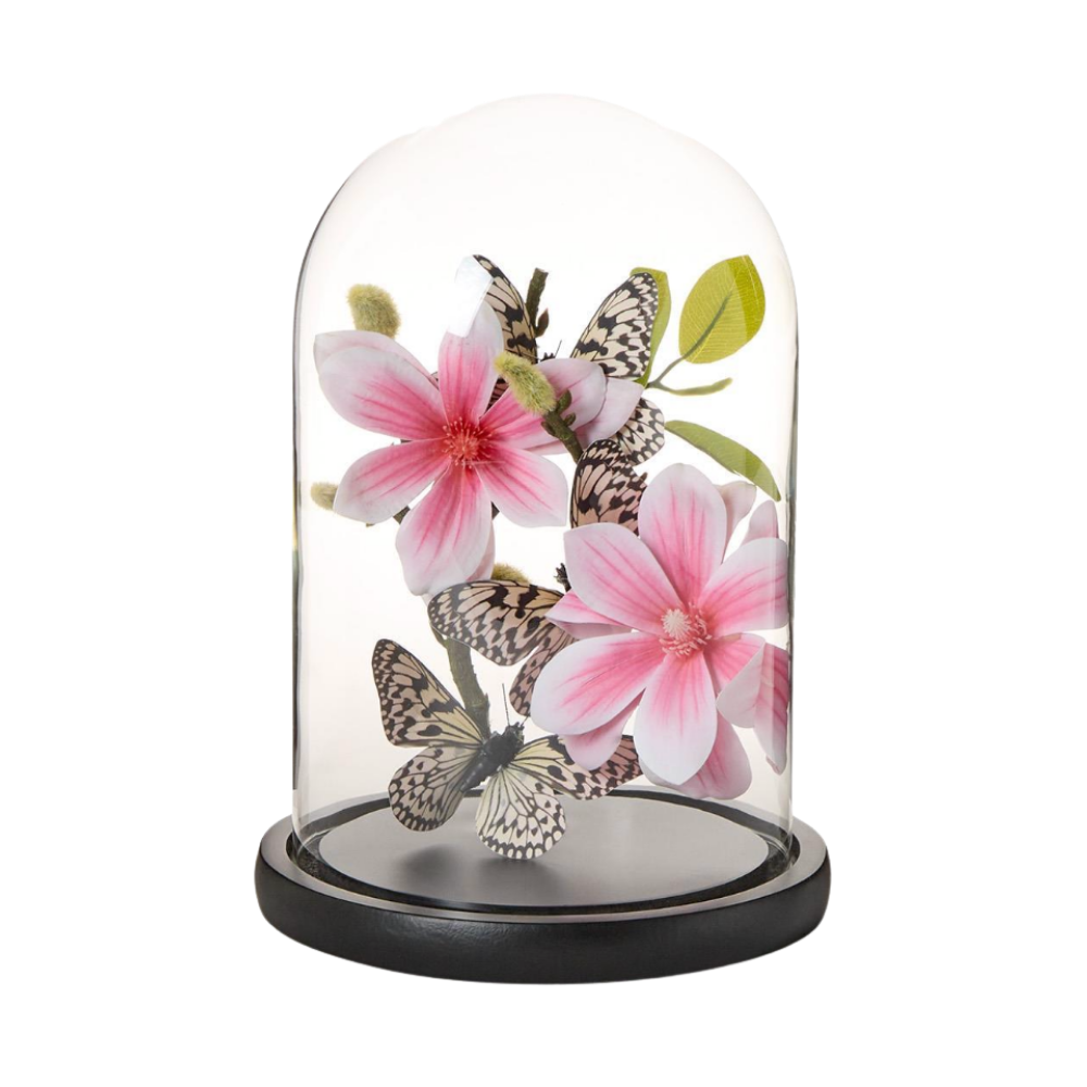 Small Flora and Fauna Dome