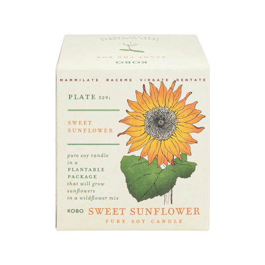 Plant the Box Soy Candle - Sweet Sunflower