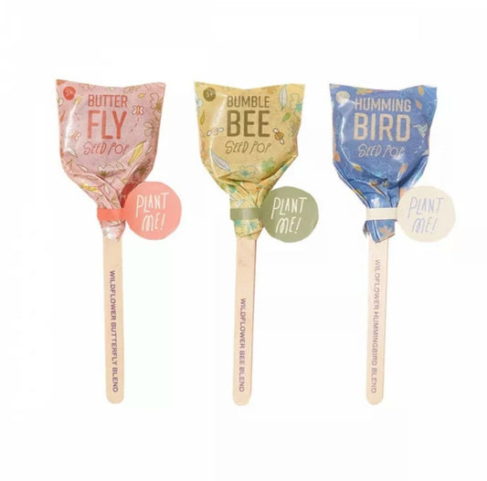 Seed Lolipop - Pollinator