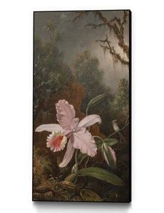 Heade- Orchid with an Amethyst Hummingbird, 13x19