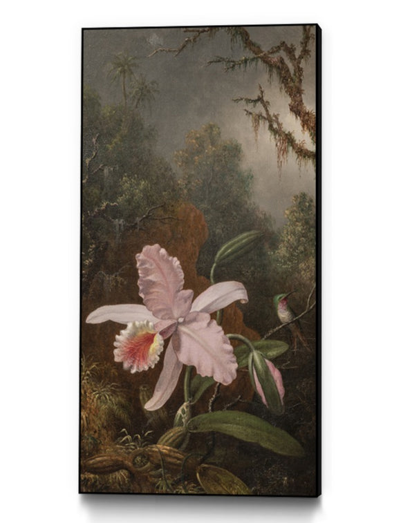Heade- Orchid with an Amethyst Hummingbird, 13x19