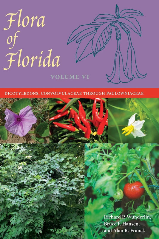 Flora of Florida, Volume VI: Dicotyledons, Convolvulaceae through Paulowniaceae