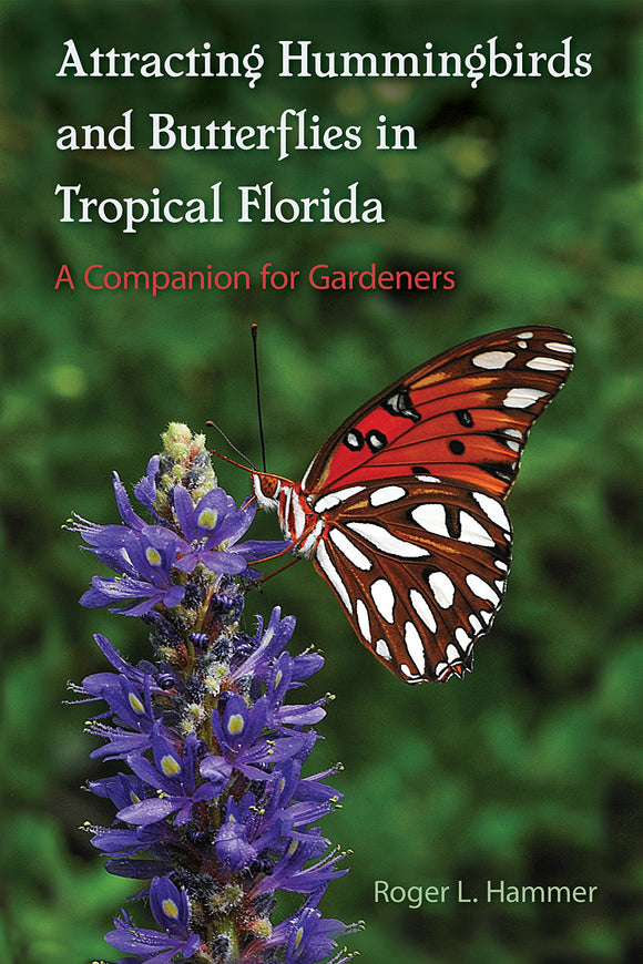 Attracting Hummingbirds and Butterflies in Tropical Florida: A Companion for Gardeners