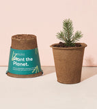 Grow a Tree Kit