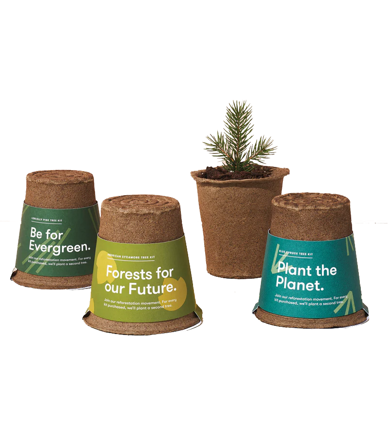 Grow a Tree Kit