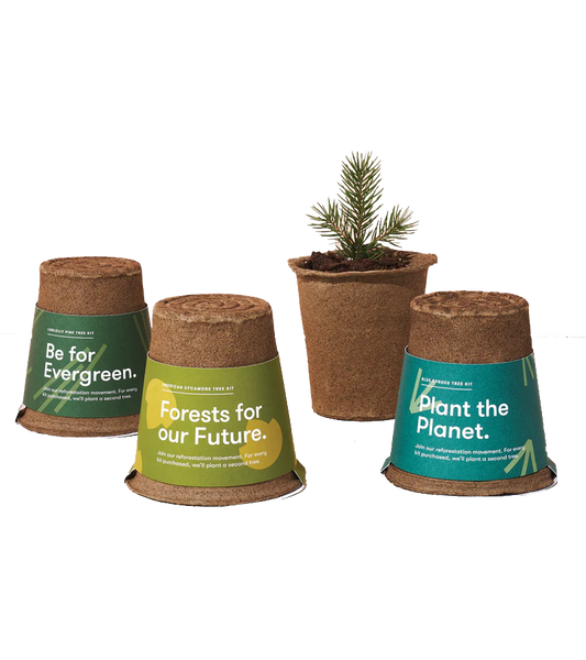 Grow a Tree Kit