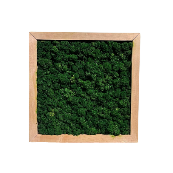 1x1 Framed Moss Panel