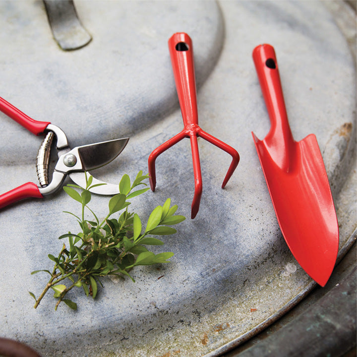 Small Pruning Shears