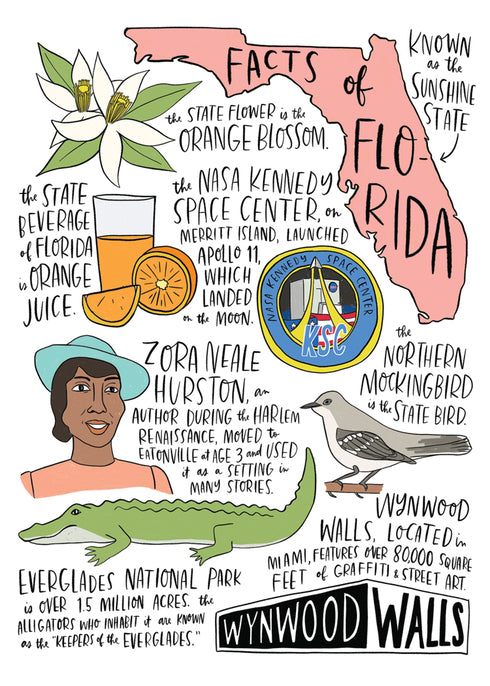 Facts of Florida Notecards